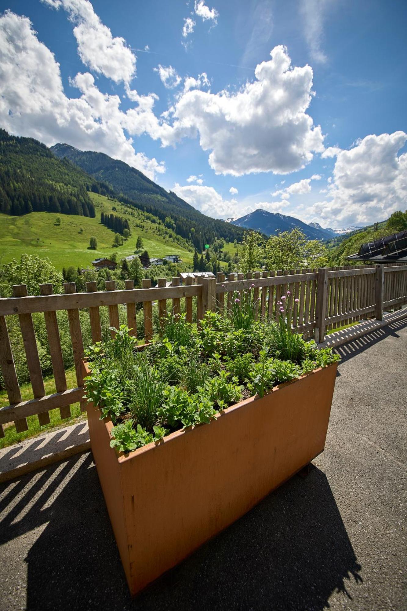 Drei Hittn Saalbach Apartment Екстериор снимка